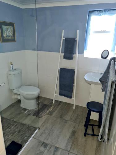 a bathroom with a toilet and a sink at 7 on South in Bredasdorp