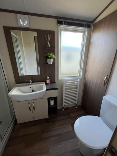 a bathroom with a sink and a toilet and a window at Fulmar 16, Scratby - California Cliffs, Parkdean, sleeps 6, pet friendly - 2 minutes from the beach! in Scratby