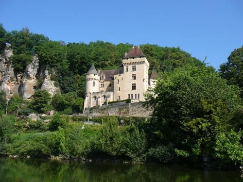 zamek na szczycie wzgórza obok rzeki w obiekcie Domaine la Cabane w mieście Dégagnac