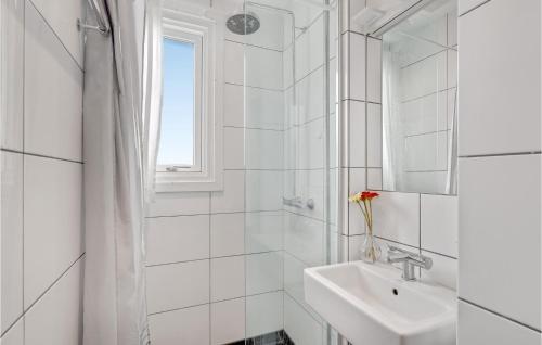 een witte badkamer met een wastafel en een spiegel bij Nice Apartment In Dragr With Wifi And 1 Bedrooms in Dragør