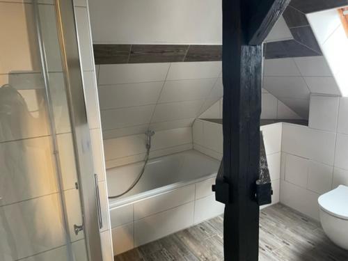 y baño con ducha y aseo. en FeWo am Fusse der Landeskrone mit Sauna en Görlitz
