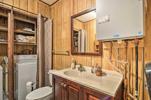 a bathroom with a sink and a toilet and a mirror at Higgins Lake Getaway with Fire Pit, Walk to Beach! in Roscommon