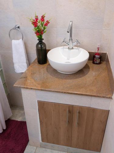 a bathroom with a sink and a vase with flowers at PachobyDaisy in Awasi