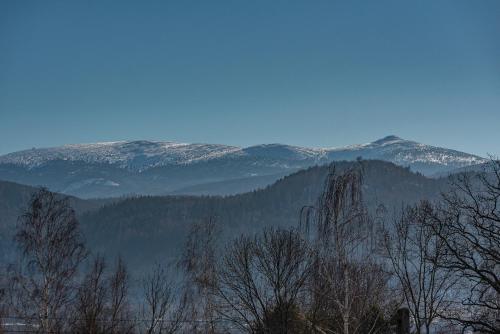 アパートメントから撮影された、または一般的な山の景色