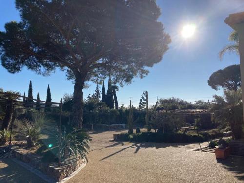 Zahrada ubytování BASTIDE DE RAMATUELLE
