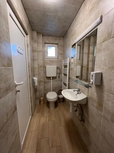 a small bathroom with a toilet and a sink at Villa Klara in Novi Sad