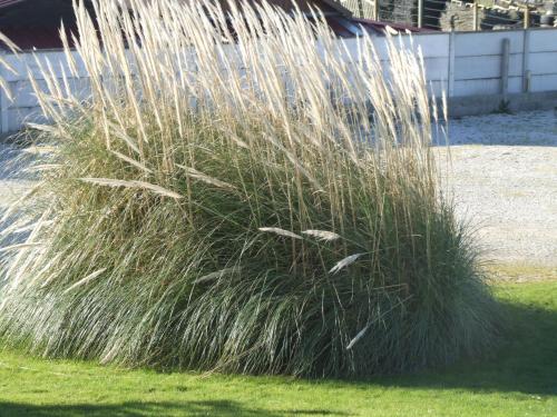 a stack of tall grass in a yard at La Villa Port Winston - Face Mer B&B in Saint-Côme-de-Fresné