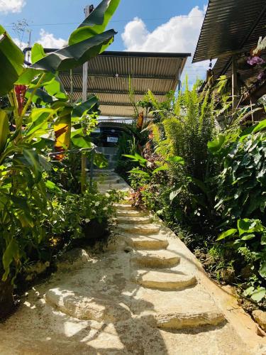 a path in a garden with plants at Casita Tangara con balcón y agua caliente in Drake