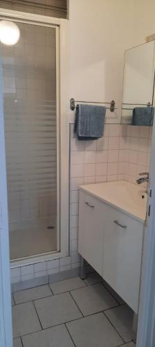 une salle de bain avec une douche, un lavabo et un miroir dans l'établissement magnolia, appartement lumineux et agréable, à Arleux-en-Gohelle