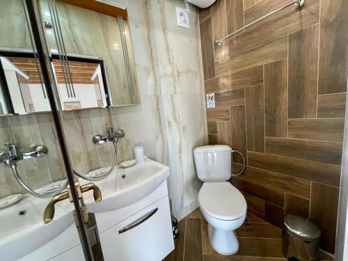a bathroom with a toilet and a sink and a mirror at Villa ART in Dospat