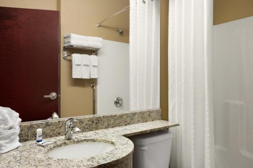 a bathroom with a sink and a toilet and a mirror at Microtel Inn and Suites Carrollton in Carrollton