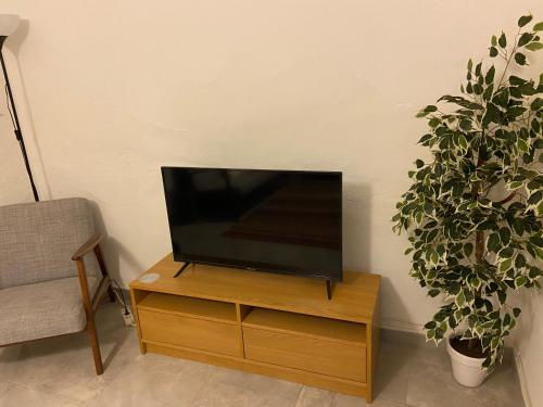 a flat screen tv sitting on a wooden stand next to a plant at Casa Alora in Alora