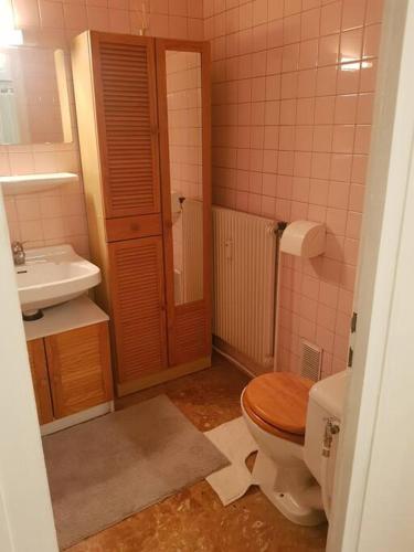 uma casa de banho com um WC e um lavatório em Magnifique T2 au centre ville em Cluses