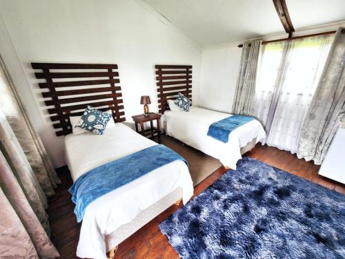 a bedroom with two beds and a blue rug at Roes se Moes in Kestell