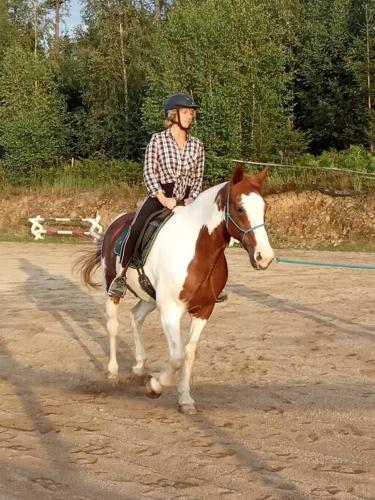 a woman riding a horse on a dirt road at Wohnung Rheintal im Alpenvorland in Batschuns