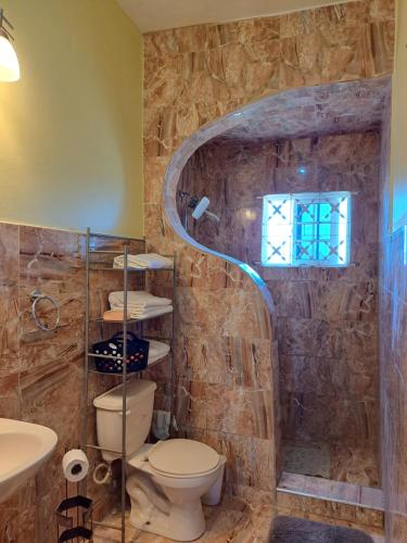 a bathroom with a toilet and a stone wall at Southaven Oasis 