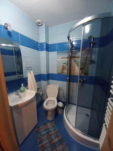 a bathroom with a shower and a toilet and a sink at Noclegi u Celiny i józefa in Łapszanka