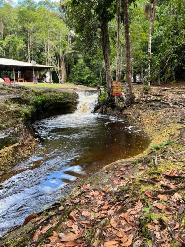 un petit ruisseau d'eau à côté d'une forêt dans l'établissement Pousada Paraíso do Calango Azul, à Presidente Figueiredo