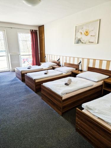 a group of four beds in a room at Hotel NED HOCKEY in Nymburk