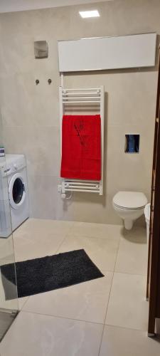 a bathroom with a red towel hanging from a window at IHB-Inter House of Balaton in Zamárdi