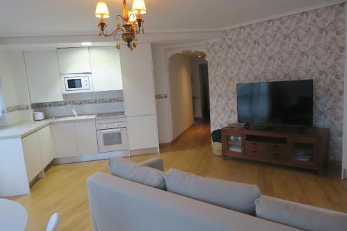 ein Wohnzimmer mit einem Sofa und einem Flachbild-TV in der Unterkunft Apartamento Calle San Isidro 1ºA in Ezcaray