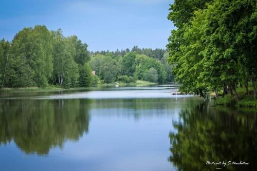 a large lake with trees on the side of it at Sodybos Narūnas namelis po egle 