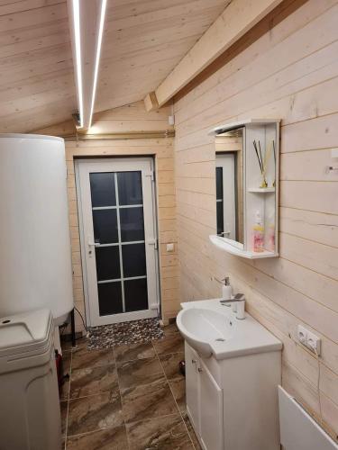 a bathroom with a sink and a toilet and a mirror at Sodybos Narūnas namelis po egle in Sponėnai
