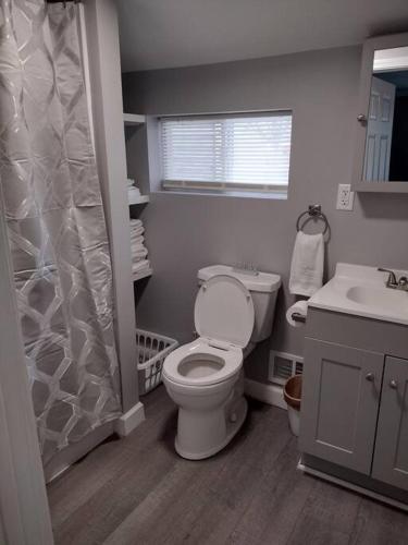 a bathroom with a toilet and a sink and a shower at Modern home on city's westside in Bay City