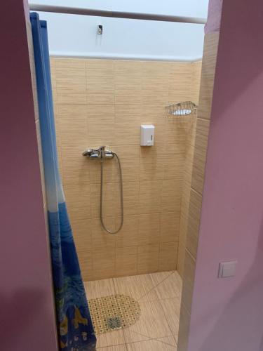 a shower with a shower curtain in a bathroom at Green Hotel in Kyiv