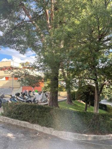 a group of motorcycles parked in a park with trees at La casa di Teri a Chiavari in Chiavari