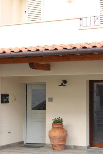 a plant in a pot sitting in front of a house at PIUMABLU in Campi Bisenzio