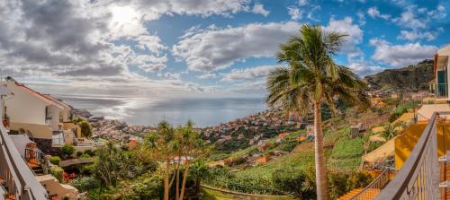 Palm Tree House by Amazing Madeira