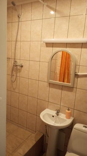 a bathroom with a sink and a mirror and a toilet at Hostel Nele in Jõhvi