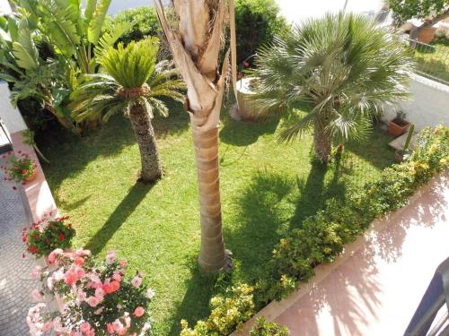 una vista aérea de un jardín con palmeras y flores en Appartamento in Villa a circa 100 metri dal mare, en Fontane Bianche