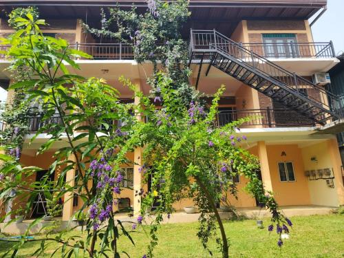 Zahrada ubytování Serene Inn Kandana