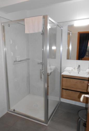 a bathroom with a shower and a sink at Au Fief du Château in Orschwiller