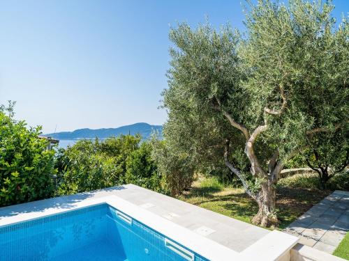 una piscina en una villa con un olivo en Villa Melita, en Trsteno