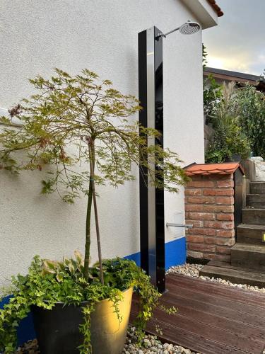 Zahrada ubytování BB Apartman