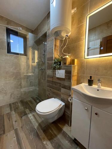 a bathroom with a toilet and a sink at Gencian resort in Kopaonik