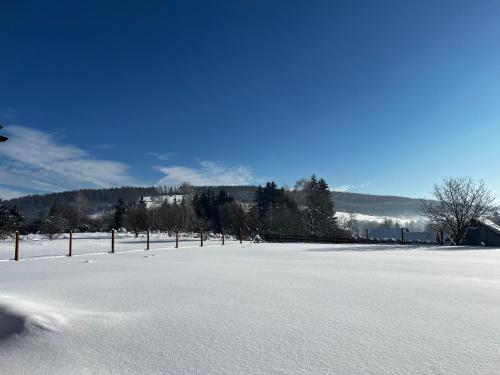 a snow covered field with a fence in the distance at PETE HOUSE in Ustrzyki Dolne