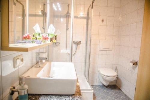 a bathroom with a sink and a shower and a toilet at Ferienlandhaus Brunner in Zachenberg