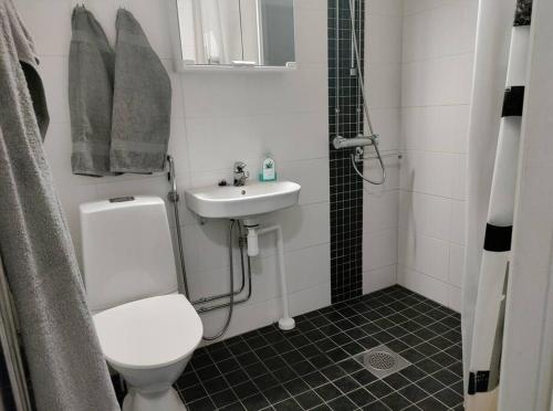 a bathroom with a toilet and a sink at Kodikas yksiö keskustassa omalla autopaikalla in Joensuu