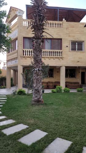 a palm tree in front of a building at مون لايت Moon Light Villa in ‘Ezbet Sa‘dî Mugâwir