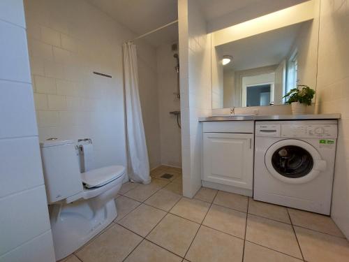 a bathroom with a toilet and a washing machine at Holiday home with spa, sauna and free access to indoor waterpark in Gjern