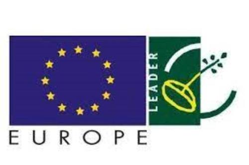 a flag of the european union and the europeanfficient at Kroghs Tiny Houses - Hyttebyen in Grindsted