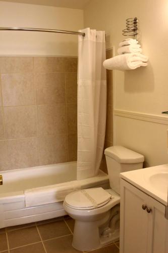 a bathroom with a toilet and a tub and a sink at Sovana Inn in Medford