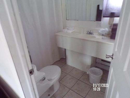La salle de bains est pourvue de toilettes blanches et d'un lavabo. dans l'établissement Longhouse Lodge Motel, à Watkins Glen