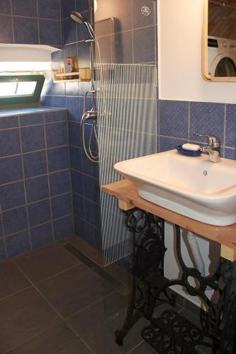 a bathroom with a sink and a shower at Égkőris Vendégház in Bakonyszücs