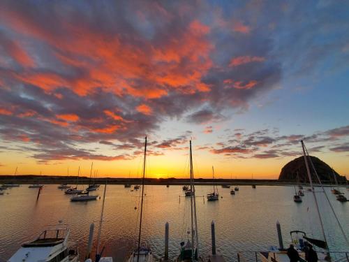 a group of boats in a marina at sunset at Gray's Inn & Gallery in Morro Bay