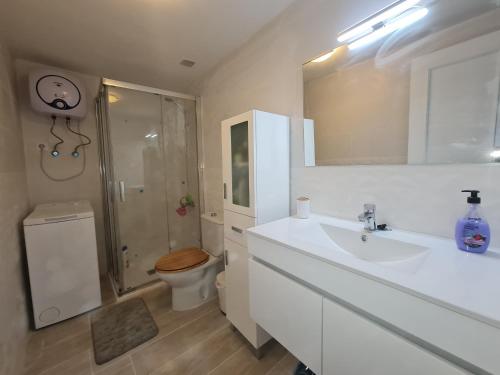 uma casa de banho com um WC, um lavatório e um chuveiro em Apartamento B&F em Costa de Antigua